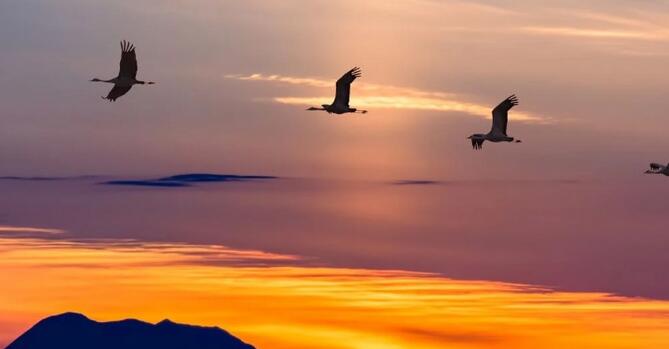 还在担心数据安全和隐私？来试试这款开源VPN服务器