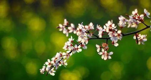 用Java调用Oracle存储过程的示例代码解析